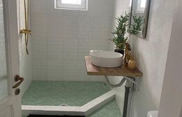 Oportunitate - Casa in Tohanita -293 mp utili -destinatie casa de vacanta sau Pensiune