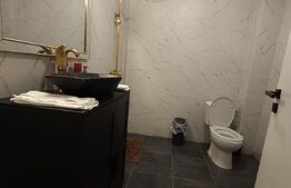 Oportunitate - Casa in Tohanita -293 mp utili -destinatie casa de vacanta sau Pensiune