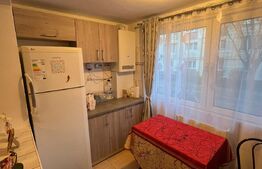 Garsoniera spatioasa, centrala proprie, zona Tulcea