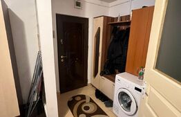 Garsoniera spatioasa, centrala proprie, zona Tulcea