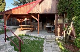 Cabana cu 4 dormitoare, foisor, ciubar, Statiunea Muntele Baisorii