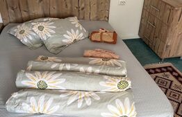 Cabana cu 4 dormitoare, foisor, ciubar, Statiunea Muntele Baisorii