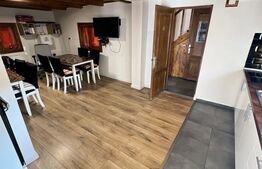 Cabana cu 4 dormitoare, foisor, ciubar, Statiunea Muntele Baisorii