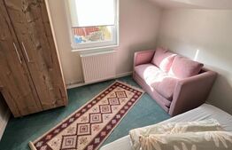 Cabana cu 4 dormitoare, foisor, ciubar, Statiunea Muntele Baisorii