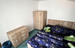 Cabana cu 4 dormitoare, foisor, ciubar, Statiunea Muntele Baisorii