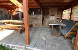 Cabana cu 4 dormitoare, foisor, ciubar, Statiunea Muntele Baisorii