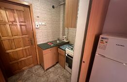 Garsoniera 21 mp , zona Bulevardul Muncii