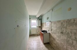 Apartament 1 camera,40  mp , etaj  intermediar, Zona Plevnei 