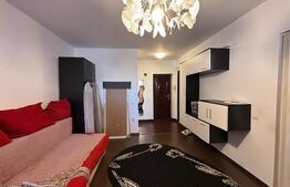 Apartament 1 camera, etaj intermediar,35 mp utili, zona Porii