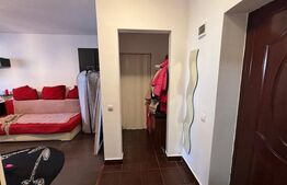 Apartament 1 camera, etaj intermediar,35 mp utili, zona Porii