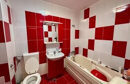 Apartament 1 camera, etaj intermediar,35 mp utili, zona Porii