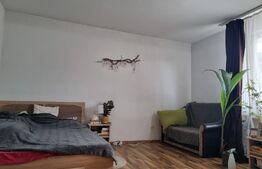 Apartament cu 1 camera, 45mp, parcare, zona Kaufland Manastur