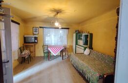 Casa renovabila 109 mp cu teren de 617 mp, Mera