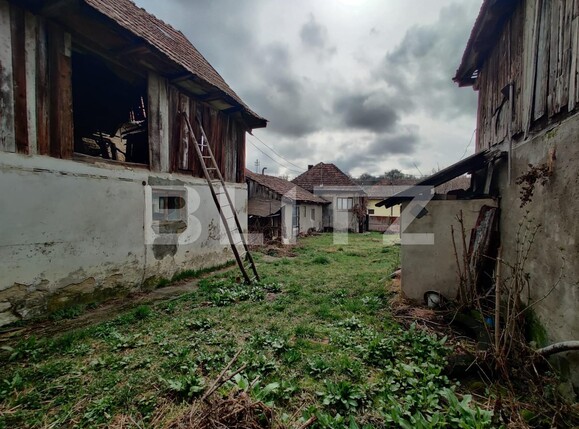 Casa de vânzare 3 camere Mera - 136576CV | BLITZ Cluj-Napoca | Poza6