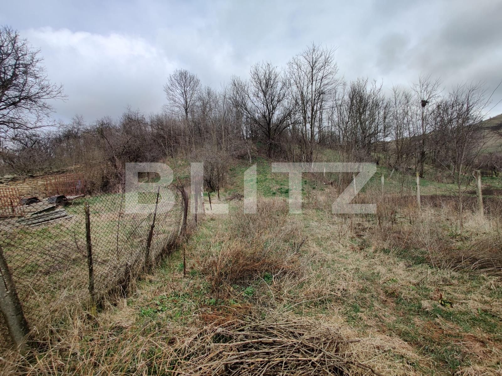 Casa de vânzare 3 camere Mera - 136576CV | BLITZ Cluj-Napoca | Poza3