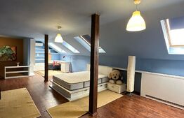 Apartament 2 camere, 96 mp, 2 parcari, zona Str Borhanciului