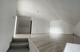 Casa complet renovata, 190 mp utili, 300 mp teren, zona Dambul Rotund