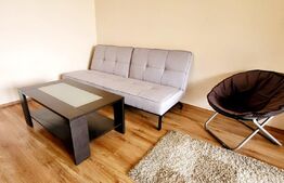 Apartament 2 camere decomandate, petfriendly, etaj intermediar, parcare, balcon, zona Porii!