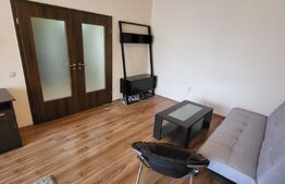 Apartament 2 camere decomandate, petfriendly, etaj intermediar, parcare, balcon, zona Porii!