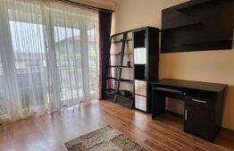 Apartament 2 camere decomandate, petfriendly, etaj intermediar, parcare, balcon, zona Porii!