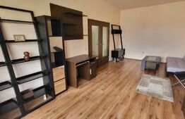 Apartament 2 camere decomandate, petfriendly, etaj intermediar, parcare, balcon, zona Porii!