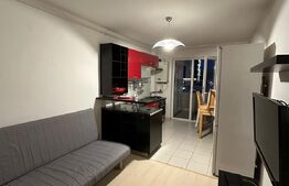 Apartament 1 camera , 50 mp  , Edgar Quinet 