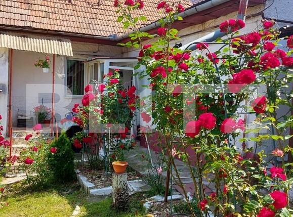 Casa de vânzare 4 camere Schei - 136713CV | BLITZ Brașov | Poza1