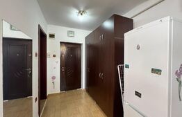 Apartament de 1 camere, 40mp, zona Hornbach