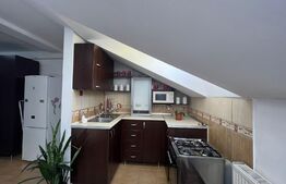 Apartament de 1 camere, 40mp, zona Hornbach