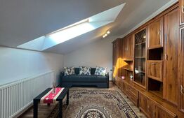 Apartament de 1 camere, 40mp, zona Hornbach