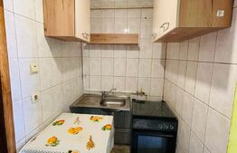 Garsoniera, 22mp, etaj intermediar, zona Bulevardul Muncii 