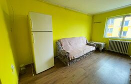 Apartament 1 camera, 22mp, etaj intermediar, zona Bulevardul Muncii 