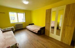 Apartament 1 camera, 22mp, etaj intermediar, zona Bulevardul Muncii 