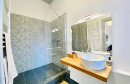 Apartament 1 camera, 42 mp, pivnita, zona strazii Horea 