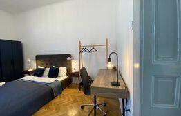 Apartament 1 camera, 42 mp, pivnita, zona strazii Horea 
