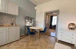 Apartament 1 camera, 42 mp, pivnita, zona strazii Horea 