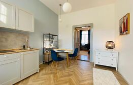 Apartament 1 camera, 42 mp, pivnita, zona strazii Horea 