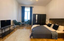 Apartament 1 camera, 42 mp, pivnita, zona strazii Horea 