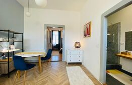 Apartament 1 camera, 42 mp, pivnita, zona strazii Horea 