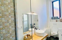 Apartament 1 camera, 42 mp, pivnita, zona strazii Horea 