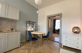 Apartament 1 camera, 42 mp, pivnita, zona strazii Horea 