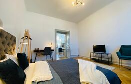 Apartament 1 camera, 42 mp, pivnita, zona strazii Horea 