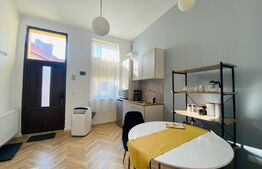 Apartament 1 camera, 42 mp, pivnita, zona strazii Horea 