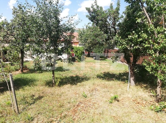 Casa de vânzare 4 camere Gruia - 136822CV | BLITZ Cluj-Napoca | Poza3