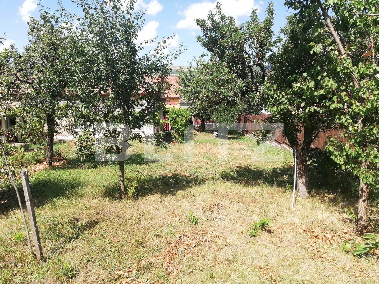 Casa de vânzare 4 camere Gruia - 136822CV | BLITZ Cluj-Napoca | Poza3