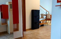 Duplex, 150 mp, 250 mp teren, strada privata, zona Calea Turzii
