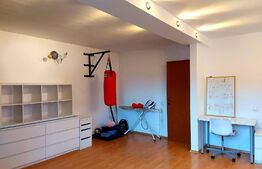 Duplex, 150 mp, 250 mp teren, strada privata, zona Calea Turzii