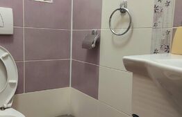 Duplex, 150 mp, 250 mp teren, strada privata, zona Calea Turzii