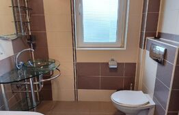 Duplex, 150 mp, 250 mp teren, strada privata, zona Calea Turzii
