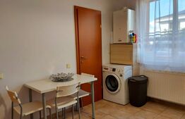 Duplex, 150 mp, 250 mp teren, strada privata, zona Calea Turzii